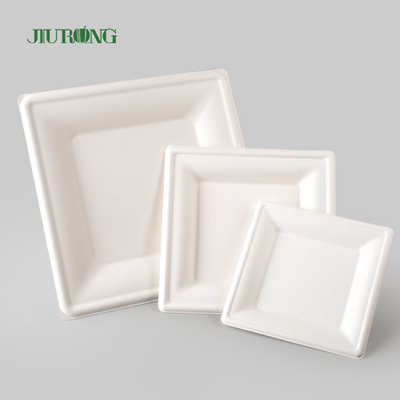 Placa descartável biodegradável do papel de embalagem para a cópia feita sob encomenda maioria do partido