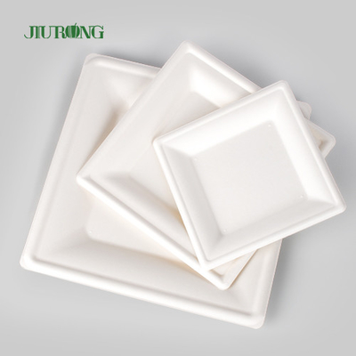 Placa descartável biodegradável do papel de embalagem para a cópia feita sob encomenda maioria do partido