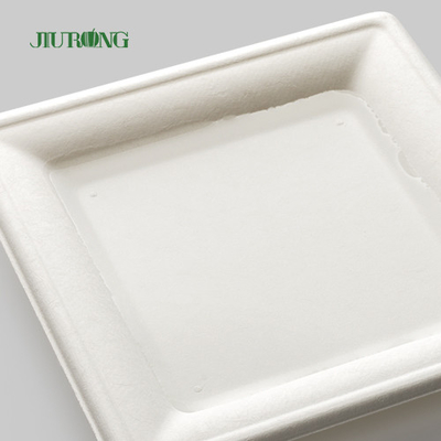 Placa descartável biodegradável do papel de embalagem para a cópia feita sob encomenda maioria do partido