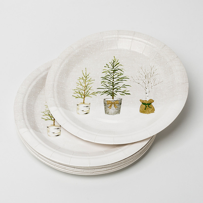 Grupo em pasta Compostable biodegradável dos utensílios de mesa das fontes da festa de anos da planta das placas de papel de LFGB
