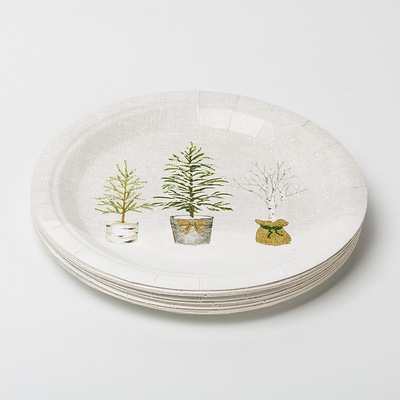 Grupo em pasta Compostable biodegradável dos utensílios de mesa das fontes da festa de anos da planta das placas de papel de LFGB