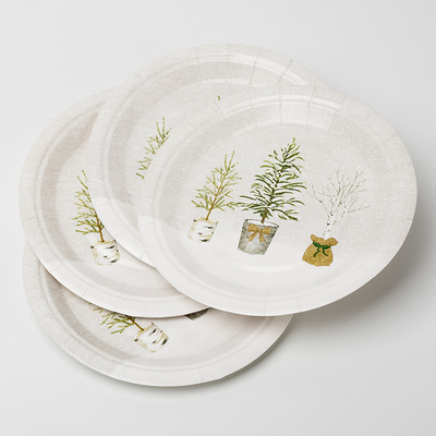 Grupo em pasta Compostable biodegradável dos utensílios de mesa das fontes da festa de anos da planta das placas de papel de LFGB