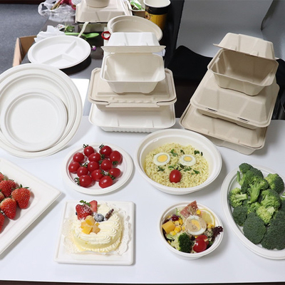 Recipiente para alimentos de bagaço de cana-de-açúcar