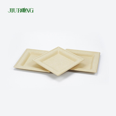 Recipiente de comida de cana-de-açúcar biodegradável biodegradável bandeja de sushi descartável ecologicamente correto