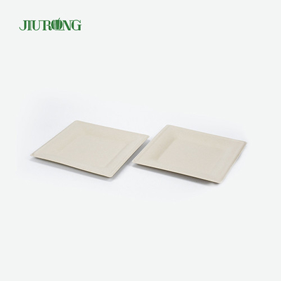 Recipiente de comida de cana-de-açúcar com laminação fosca pratos de jantar de papel branco Jiurong