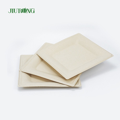 Recipiente de comida de cana-de-açúcar com laminação fosca pratos de jantar de papel branco Jiurong