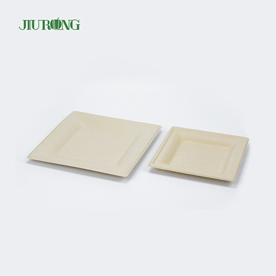 Recipiente de comida de cana-de-açúcar com laminação fosca pratos de jantar de papel branco Jiurong
