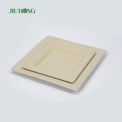 Recipiente de comida de cana-de-açúcar com laminação fosca pratos de jantar de papel branco Jiurong