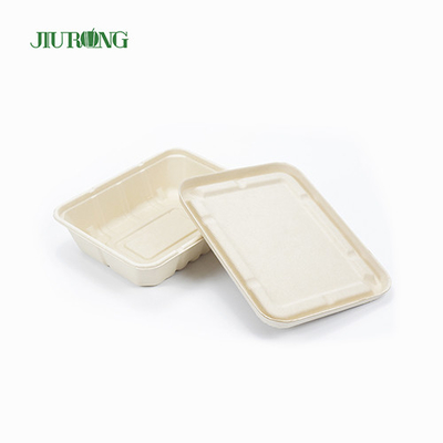 Bagaço à prova d'água reciclado embalagem de alimentos biodegradável caixa de papel OEM ODM