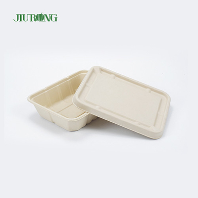 Bagaço à prova d'água reciclado embalagem de alimentos biodegradável caixa de papel OEM ODM