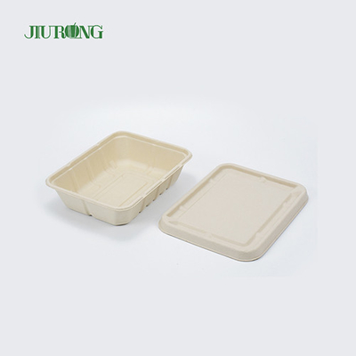 Bagaço à prova d'água reciclado embalagem de alimentos biodegradável caixa de papel OEM ODM