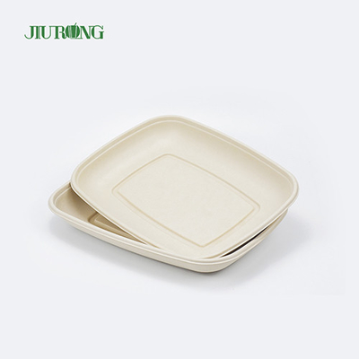 Bandeja de comida compostável ecologicamente correta para sushi prato de cana-de-açúcar biodegradável