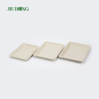 Placas de cana-de-açúcar biodegradáveis ​​descartáveis ​​quadradas 160mm para pão de hambúrguer