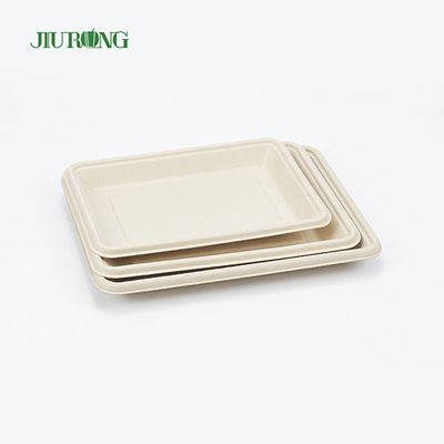 Placas de cana-de-açúcar biodegradáveis ​​descartáveis ​​quadradas 160mm para pão de hambúrguer