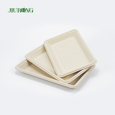 Placas de cana-de-açúcar biodegradáveis ​​descartáveis ​​quadradas 160mm para pão de hambúrguer