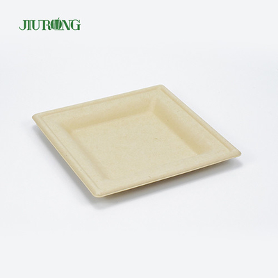 Recipiente de comida de cana-de-açúcar biodegradável biodegradável bandeja de sushi descartável ecologicamente correto